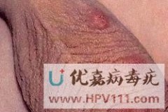 <b>ҲİYF(xin)</b>