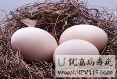 ƽ傀ʳ֪᣿
