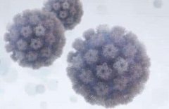 hpv6]wҪί