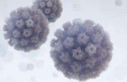 HPV